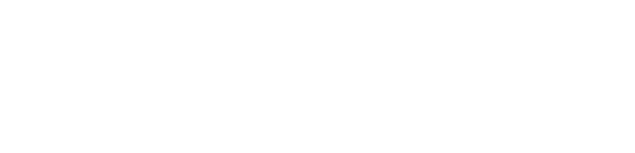 WildCard Backup